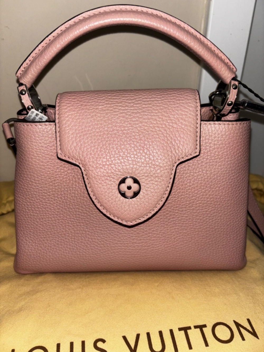 Pink LV Louis Vuitton Capucines BB - Picture 11 of 16